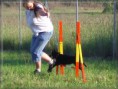 /album/agility/agility-1-jpg/